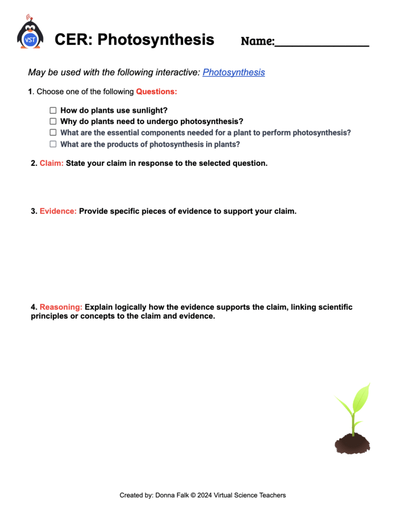 Photosynthesis CER